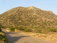 Βιολογικό Μέλι