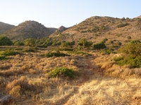 Βιολογικό Μέλι