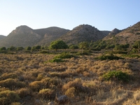 Βιολογικό Μέλι