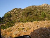 Βιολογικό Μέλι