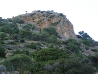 Βιολογικό Μέλι