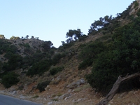 Βιολογικό Μέλι