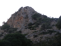 Βιολογικό Μέλι