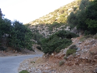 Βιολογικό Μέλι