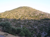 Βιολογικό Μέλι