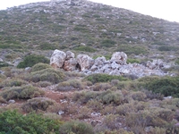 Βιολογικό Μέλι