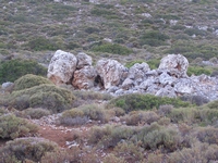 Βιολογικό Μέλι