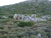 Βιολογικό Μέλι