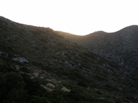 Βιολογικό Μέλι