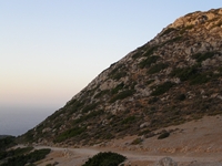 Βιολογικό Μέλι