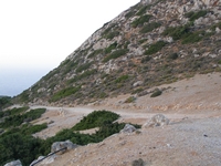 Βιολογικό Μέλι