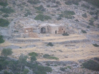 Βιολογικό Μέλι