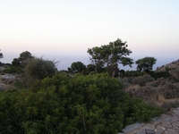 Βιολογικό Μέλι