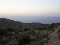 Βιολογικό Μέλι