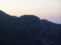 Βιολογικό Μέλι