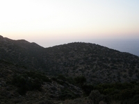 Βιολογικό Μέλι