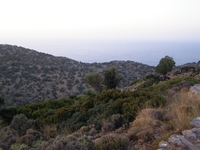 Βιολογικό Μέλι