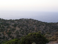 Βιολογικό Μέλι