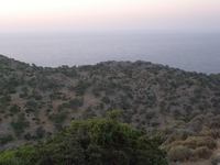 Βιολογικό Μέλι