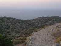 Βιολογικό Μέλι