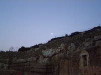 Βιολογικό Μέλι