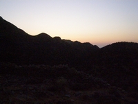 Βιολογικό Μέλι