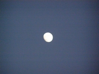 Βιολογικό Μέλι