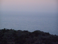 Βιολογικό Μέλι