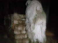 Βιολογικό Μέλι