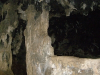 Βιολογικό Μέλι