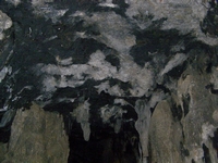 Βιολογικό Μέλι