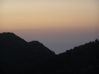 Βιολογικό Μέλι