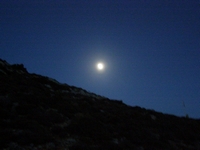 Βιολογικό Μέλι